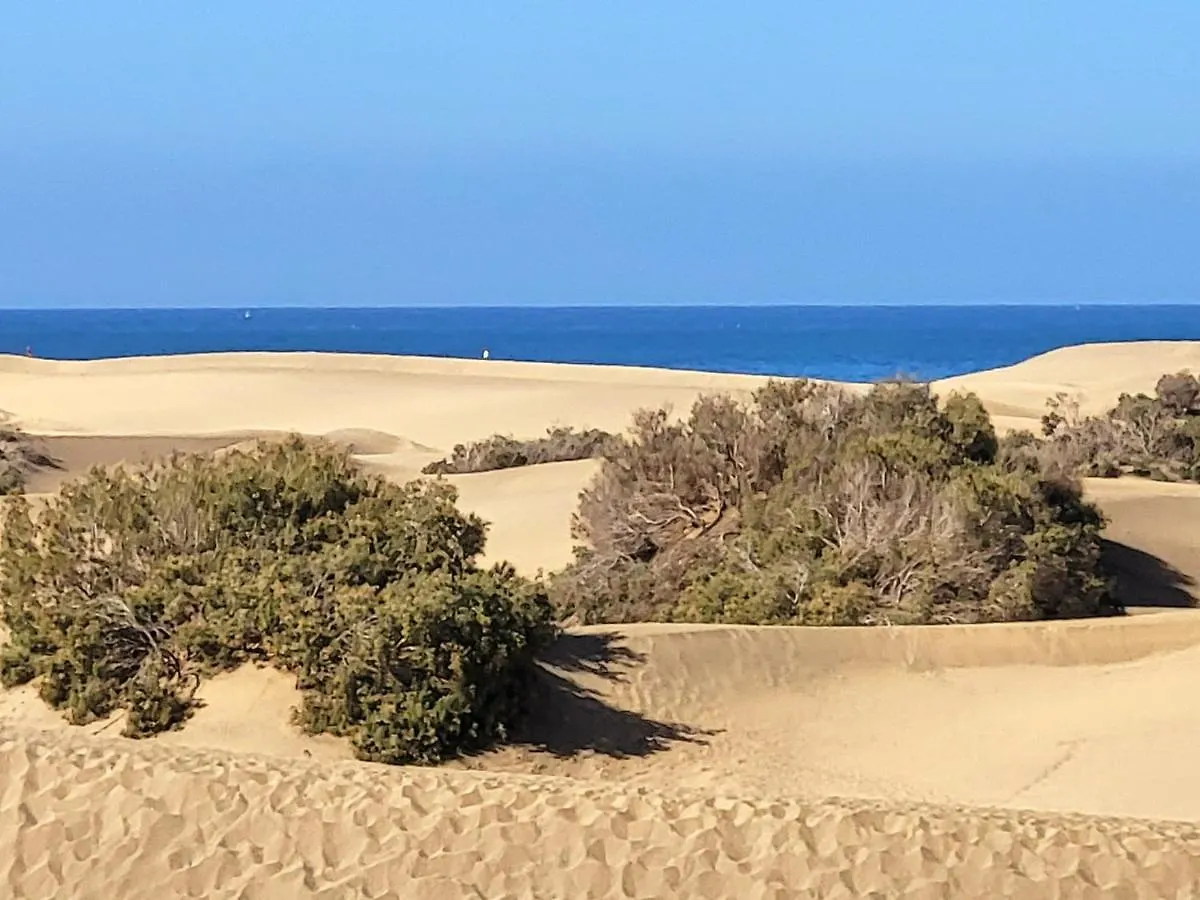 Appartamento Taidia Tropical Maspalomas  0*, Maspalomas (Gran Canaria) Spagna