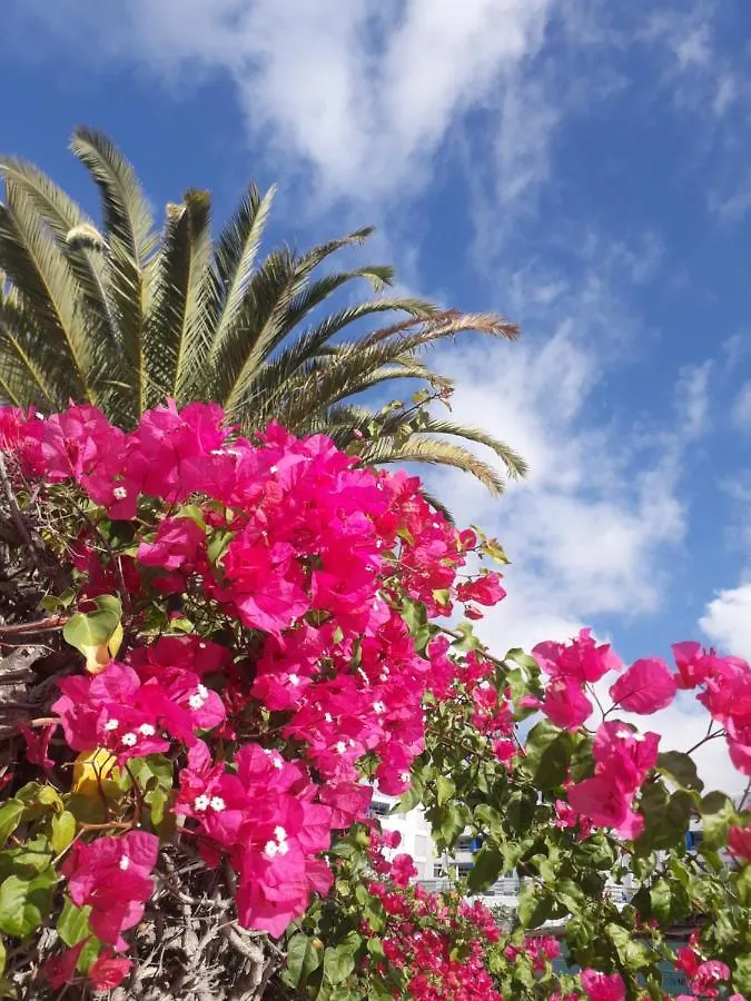 Appartamento Taidia Tropical Maspalomas  Maspalomas (Gran Canaria)